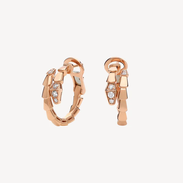 BL Earrings