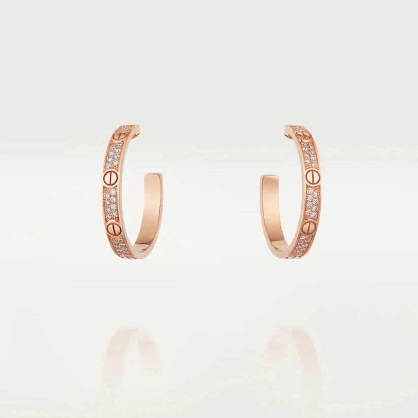 CR Earrings